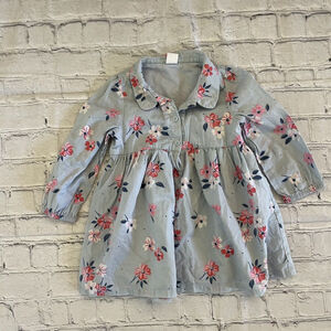 Baby Gap Blue Floral Long Sleeve Dress